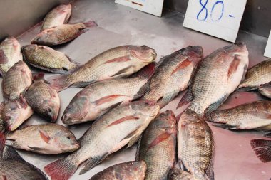 Taze balık sokak gıda yemek pişirmek için