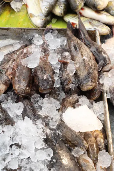 Verse Vis Voor Het Koken Straat Eten — Stockfoto