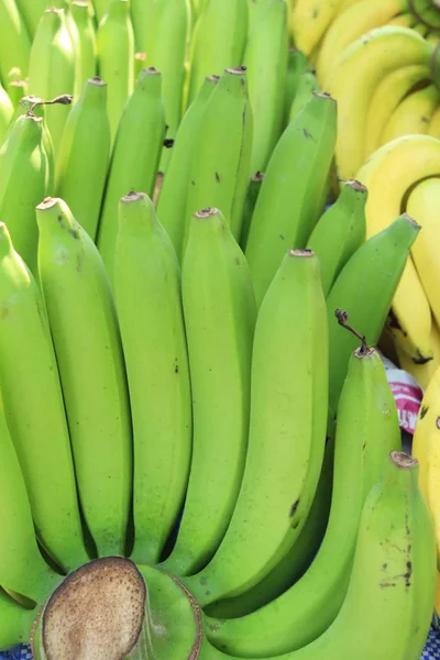 Zralý Banán Vynikající Rychlé Občerstvení — Stock fotografie