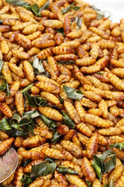 Fried ipek solucanlar sokak gıda lezzetli