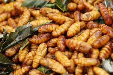 Fried ipek solucanlar sokak gıda lezzetli