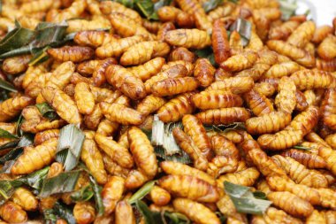 Fried ipek solucanlar sokak gıda lezzetli