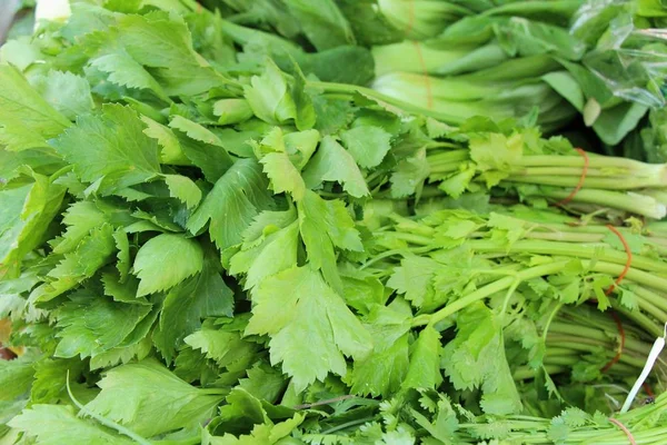 Legumes Aipo Para Cozinhar Mercado — Fotografia de Stock