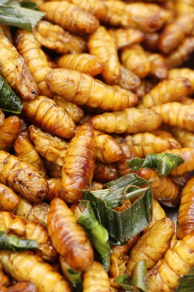 Fried Silk Worms Delicious Street Food — Stock Photo, Image