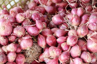 Soğan ve arpacık markette yemek pişirmek için
