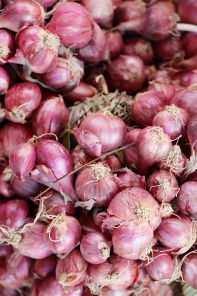 Cebollas Chalotes Para Cocinar Mercado — Foto de Stock