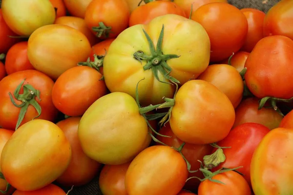 Tomates frescos para cozinhar em comida de rua — Fotografia de Stock