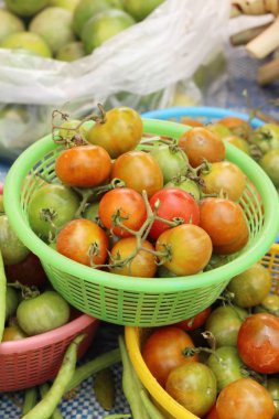 Sokak gıda yemek için taze domates