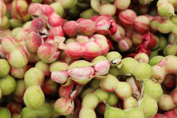 Manila tamarind je vynikající na rychlé občerstvení — Stock fotografie