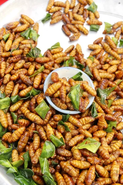 Fried ipek solucanlar sokak gıda lezzetli — Stok fotoğraf