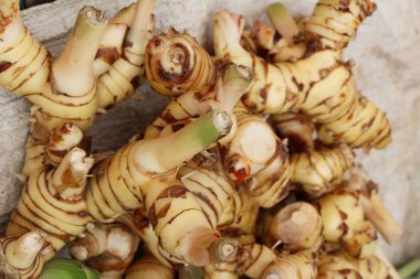 Belgili tanımlık çarşı içinde yemek pişirmek için taze havlıcan