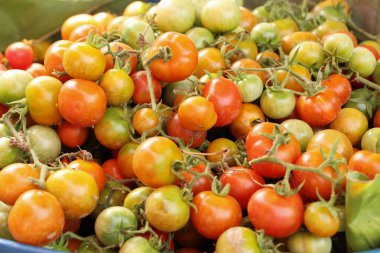 Sokak gıda yemek için taze domates