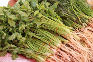 Belgili tanımlık çarşı içinde yemek pişirmek için taze kişniş