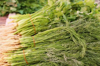 Belgili tanımlık çarşı içinde yemek pişirmek için taze kişniş