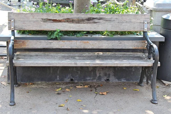 Holzstühle im Garten Vintage-Stil — Stockfoto