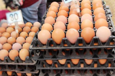 Piyasada panelinde yumurta