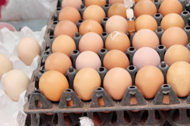 Piyasada panelinde yumurta