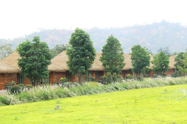 Montaña y paisaje forestal con la naturaleza —  Fotos de Stock