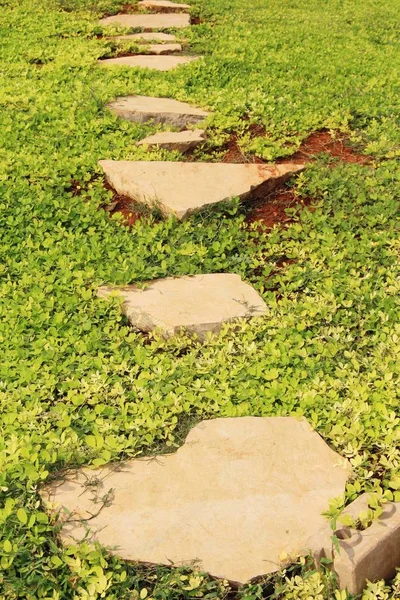 Trädgård promenad sätt med sten i naturen — Stockfoto