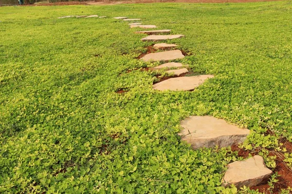 Gartenweg mit Stein in der Natur — Stockfoto