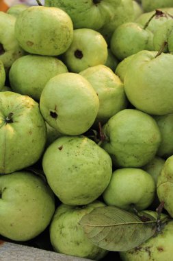 Guava meyve sokak gıda lezzetlidir