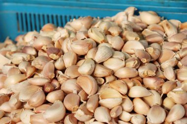 Sarımsak karanfil sokak gıda yemek pişirmek için