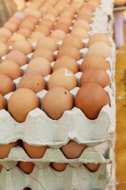 Piyasada panelinde yumurta