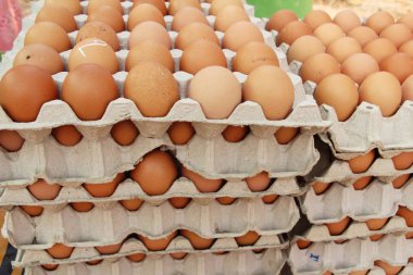 Piyasada panelinde yumurta
