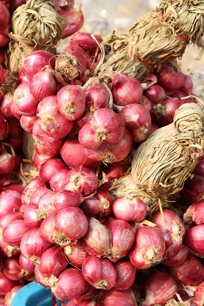 Zwiebeln und Schalotten zum Kochen auf dem Markt — Stockfoto