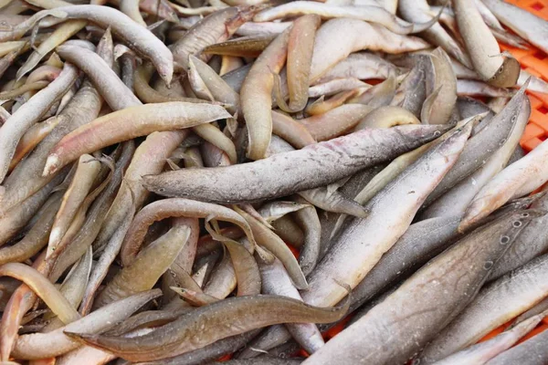 Dried fish for cooking at street food — Stock Photo, Image