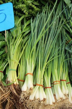 Taze soğan pazarda yemek pişirmek için