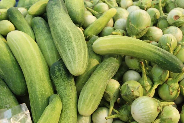 Verse komkommers voor het koken op de markt — Stockfoto