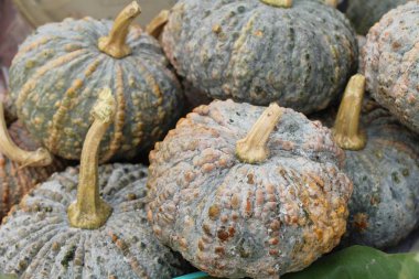 Belgili tanımlık çarşı içinde yemek pişirmek için taze kabak