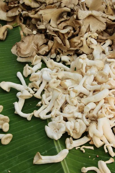 Verse champignons voor koken op straat eten — Stockfoto