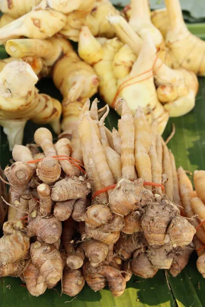 Radice di zenzero per cucinare nel mercato — Foto Stock