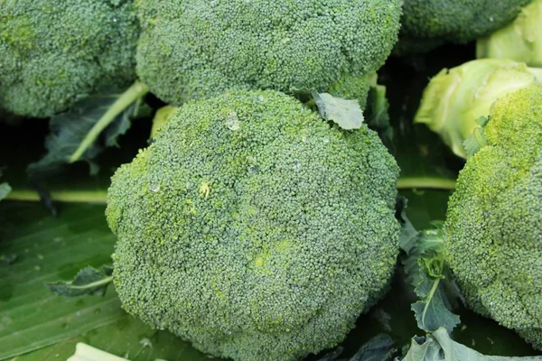 Légume brocoli pour cuisiner sur le marché — Photo