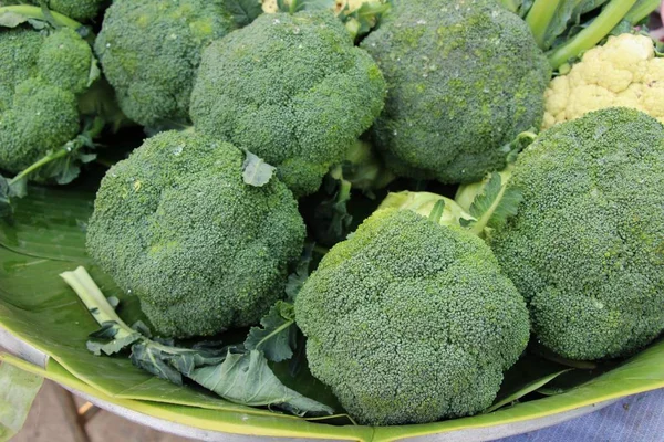 Hortalizas de brócoli para cocinar en el mercado —  Fotos de Stock