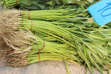 Yeşil sabah markette yemek pişirmek için zafer