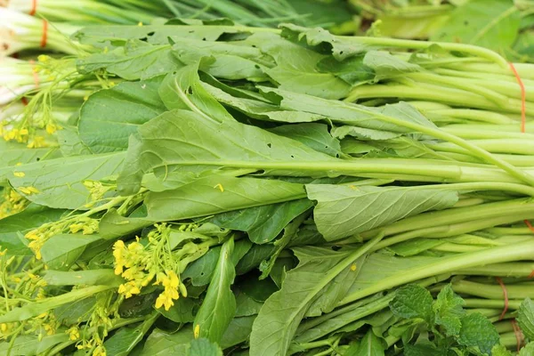 Choy fresco para cocinar en la comida callejera — Foto de Stock