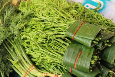 Akasya pennata sokak gıda yemek pişirmek için