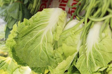 Sokak gıda yemek pişirmek için taze lahana