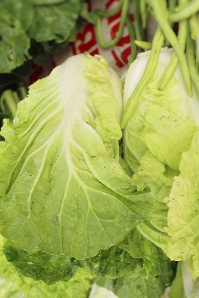 Fresh cabbage for cooking at street food — Stock Photo, Image