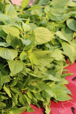 belgili tanımlık çarşı içinde yemek pişirmek için taze fesleğen