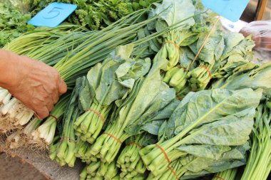 Çince kale sokak gıda yemek pişirmek için