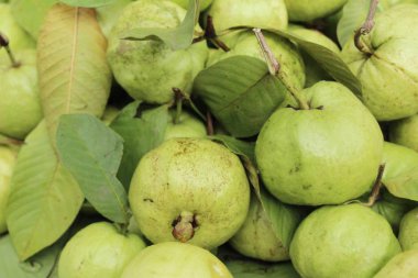 Guava meyve sokak gıda lezzetlidir