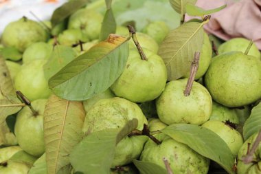 Guava meyve sokak gıda lezzetlidir