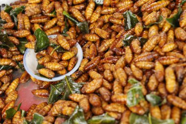 Fried ipek solucanlar sokak gıda lezzetli