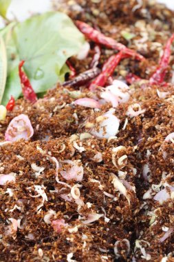 Yumurta karıncalar ve karıncalar piyasada