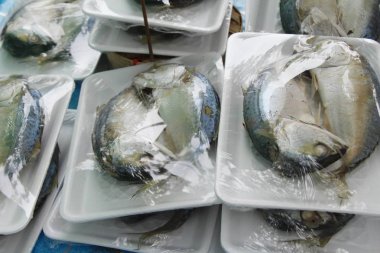 Sokak gıda lezzetli haşlanmış uskumru balığı