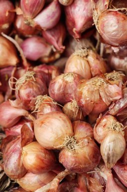 Soğancık - Asya kırmızı soğan sokak gıda